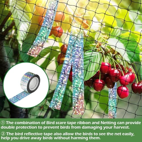 Bird Netting for Chicken Coop 16 X 50 Ft 2" Square Mesh Heavy Duty Chicken Run Netting Roof Cover Against Hawks, Eagles, Owls, UV Resistant, for Garden, Fruit Tree, Plant, Vegetable Protection - size: 2 inch mesh - 16 x 50 ft