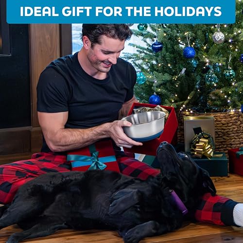 Master Pet Supply Stainless Steel Dog Bowls Set of 2 with Extra Thick Silicone Base - 4 Cup (32 oz) Navy Blue, Non-Slip, Dishwasher Safe Metal Bowls, Pet Dog Food Bowl for Dogs, Cats, Anti Rust - color: Navy Blue, size: 4 Cups (32 oz) 2 Pack
