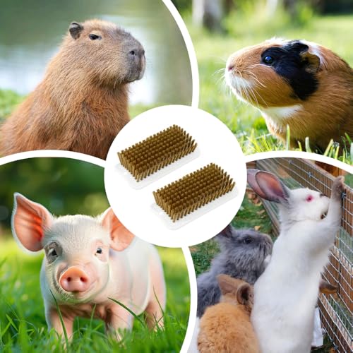 Pig Enrichment Toy,2 PCS Pigs Self-Grooming Brush Easy Install for Pens Barns Yards fit Guinea Pigs Rabbits
