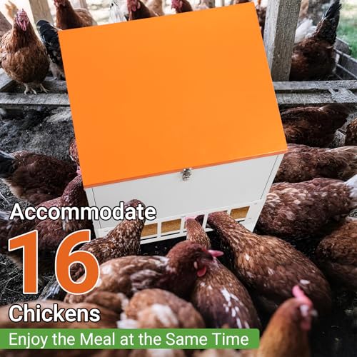 Chicken Feeder with Grille, 85LBS No Waste Chicken Feeder with 22 Ports, Powder-Coated Steel Feeder w/Waterproof Lid and Stainless Handles, 18”L x 15.1”W x 29.5”H - size: 85LBS