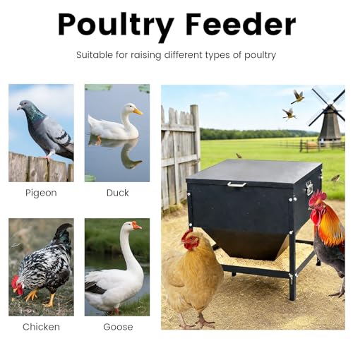 All Metal Chicken Feeding with Waterproof Lid and Handle,Adjustable 80 lbs Large Capacity No Waste Portable Automatic Chicken Feeder,for Chickens and Duck Poultry and Other Birds