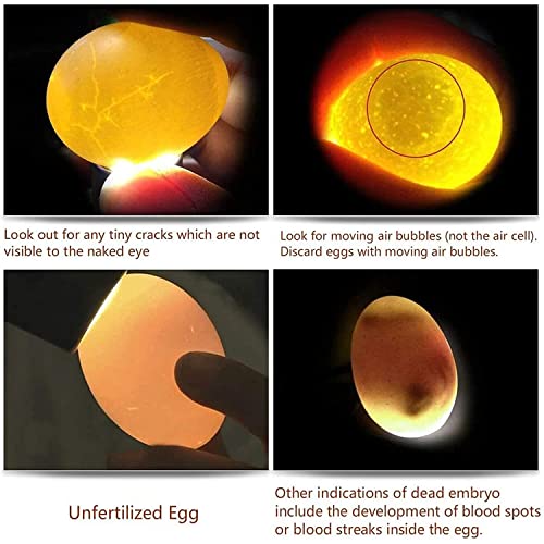 Egg Candlers for Chicken Eggs, 2026 New Egg Candling Light Tester Lamp Egg Checker Incubator for All Chickens Ducks Quail Dark Eggs 【Upgraded USB Charger】 - color: Black