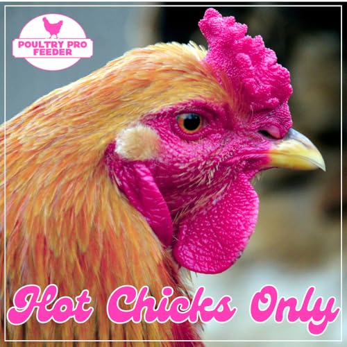 The Original Poultry Pro Hot Chick Feeder Kit - As seen on Shark Tank, 3 Ports, 3 Seal Bushings & Hole Saw, Gravity Fed, Chicken Accessories, Use for Buckets, Bins & Troughs (Bucket Not Included) - style: Hot Chick Feeder Kit