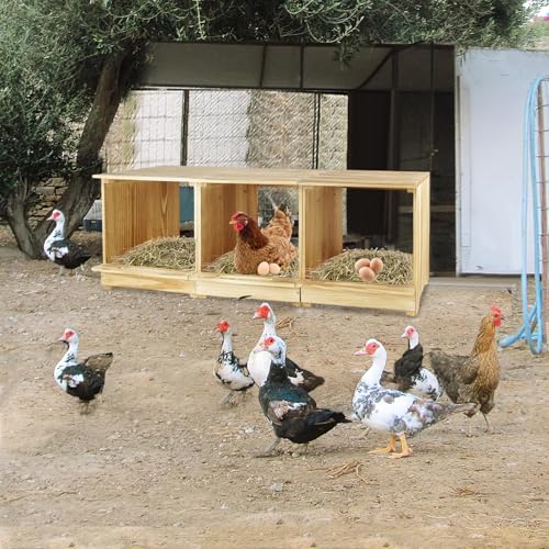 Nesting Boxes for Chickens 3 Compartments Chicken Nesting Boxes Wall Mount Nest Box for Chicken Coop Versatile Use Wood Nesting Boxes for Hens Easy to Assemble for Chickens, Hens, Ducks