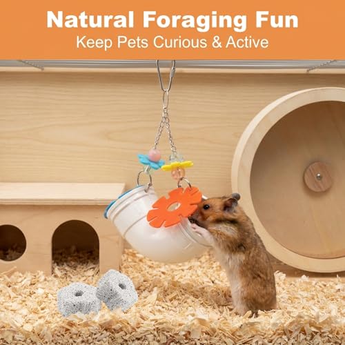 Rat Foraging Toy for Various Treats, Hanging Puzzle Slow Feeder with Beads, Flowers and 6 Plum Blossom Teeth Grinding Stones, for Rat, Mice & Parakeets