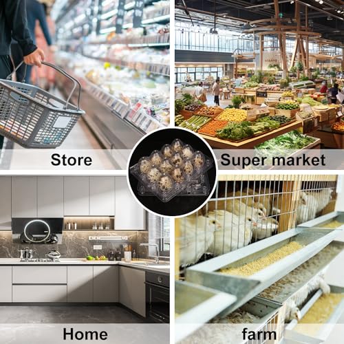 220 Pack Quail Egg Cartons, Clear Plastic Quail Egg Trays, Holds up to 12 Quail Eggs Securely - Your Ultimate Small Eggs Carton Holders for Bulk Storage and Display - size: 220 Pack Quail Egg Cartons 12 Grids