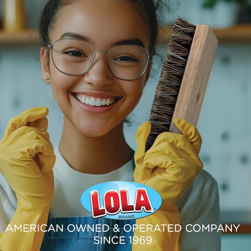 LOLA Deck Scrub Brush, 9" x 3.5" Head w/Palmyra & PVC Bristles for Outdoor Cleaning, Removes Dirt & Grime from Patios, Decks, Grout, 1 CT - size: 1 Count, style: Palmyra & PVC Deck Broom -Steel Handle