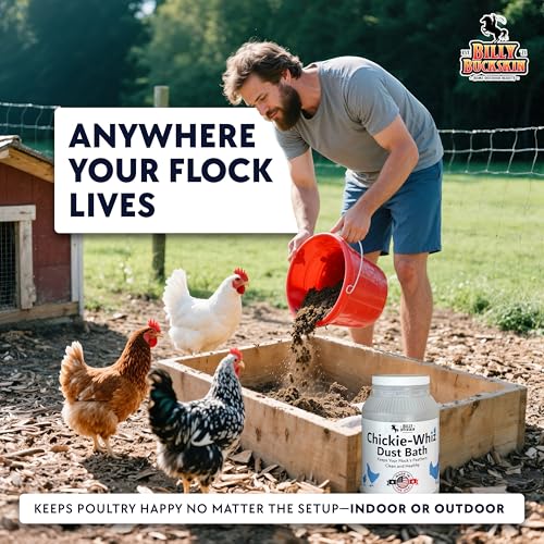 4 x 5.5lb Chickie Whiz Dust Bath, All-Natural Chickie Whiz Dust Bath Powder for Chickens for Healthier Chicken Eggs, Clean, Healthy Chickens Other Small Pet Animals by Billy Buckskin Co. - size: 4 x 5.5 LB