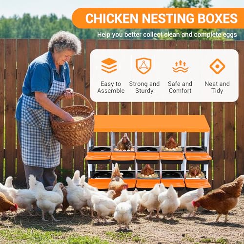 10-Hole Chicken Nesting Box, 2-Tier 10 Compartment Metal Roll Away Egg Laying Box with Lid & Legs, Easy Egg Collection, Galvanized Steel Rustproof Poultry Laying Boxes for Hens, Ducks, Farm, Yard - size: 10 holes-Orange