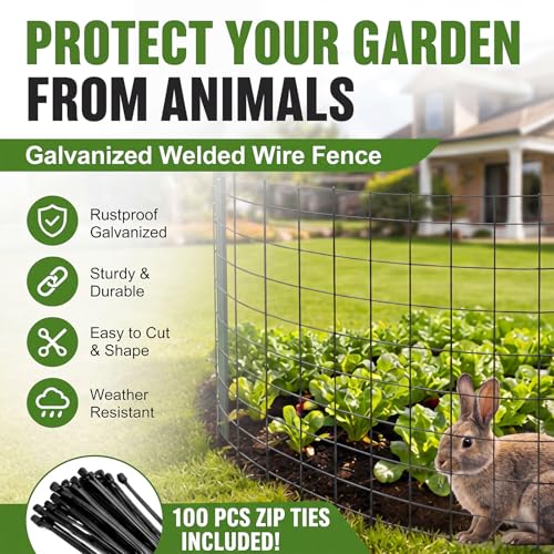 2 Roll 25 ft 50 ft in Total Black Metal Galvanized Welded Wire Fence Garden Animal Fencing Outdoor PVC Coated Wire Mesh for Yard Vegetable Plant Protection Poultry Netting for Chicken, Dog