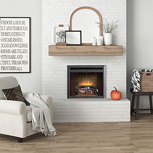 PuraFlame Klaus Electric Fireplace Insert with Fire Crackling Sound Glass Door and Mesh Screen, 750/1500W, Black, 22 13/16 Wide, 20 1/16 Inches High, 22 13/16 W X 20 1/16 H X 7 51/64 D - size: 23" without Trim
