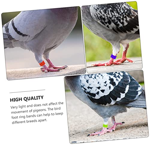 300pcs Dove Foot Ring Chicken Leg Bands Resistant to Cold Heat Leg Bands for Birds