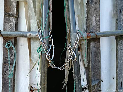 Will's Family Store 20 inch Stainless Steel Gate Chain with Carabiners Max 440 Pounds for Sheepfold and Poultry Pen 2 Pack - size: 2 pack