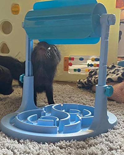 Slow Feeder Game - Interactive Food Puzzle Toy for Healthy Eating and Mental Stimulation for Dogs Pigs Rabbits Cats or Other Pets (Blue) - color: Blue