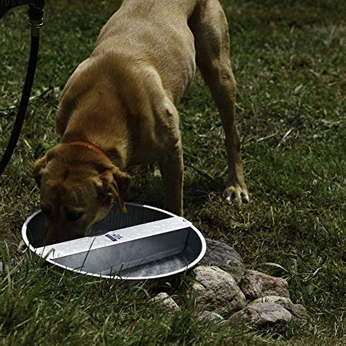 Little Giant PW13 13-Quart Capacity Rust Resistant Galvanized Steel Ever Full Pet Water Bowl Dish Attachable to Standard Hose (4 Pack) - size: 4 Pack