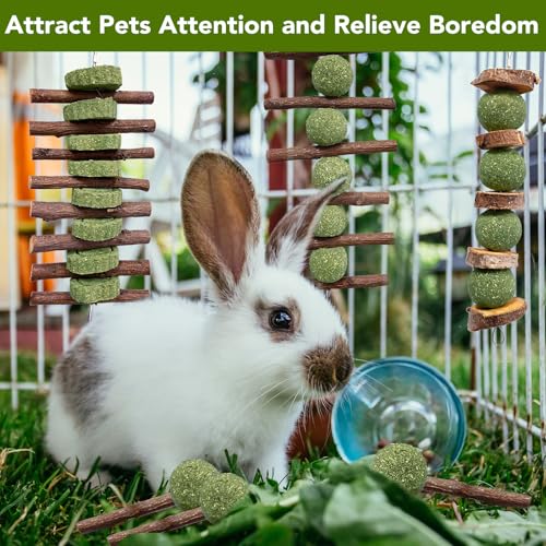 Jorewood 3 Pcs Bunny Chew Toys with 3 Pcs Rabbit Chew Lollipop for Teeth Grinding, Improve Dental Health, Treats for Rabbits Guinea Pigs Chinchillas Bunnies Hamsters - size: 6 count