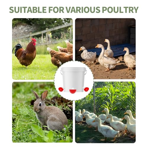5PCS Chicken Waterer Cups, Red Automatic Poultry Watering Cups, Tee Fittings Poultry Waterer with Mounting Hole Opener,Ideal for Chicken Coop, Ducks, and Backyard Poultry