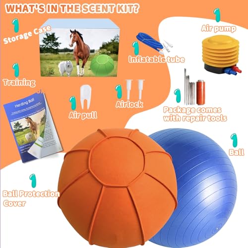 Herding Ball for Dogs, Large Dog Training, Jolly Ball for Australian Shepherd and Collie 25 inch (Orange)