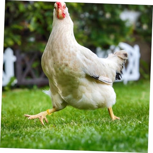 150pcs Poultry Leg Marking Reusable Chicken Identification Bands Bright Color Foot Clips for Easy Breed Separation Lightweight and Convenient for Poultry Care
