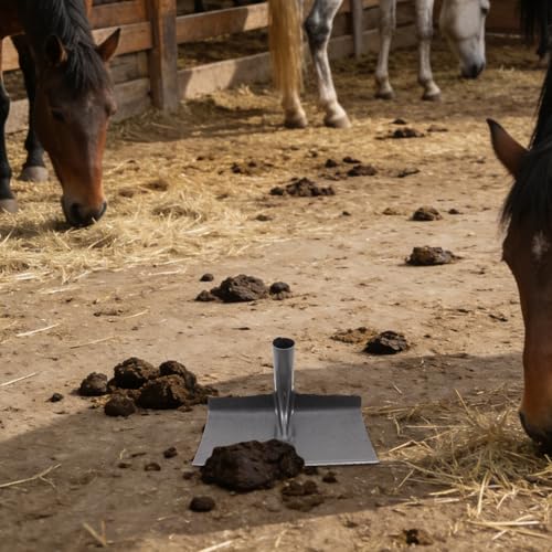 Livestock Pen Scraper with 12" Wide Blade - Heavy Duty Manure Removal Tool for Horse Barn, Pig Farm Poop Scooper Shovel, Floor Squeegee for Stable Cleaning