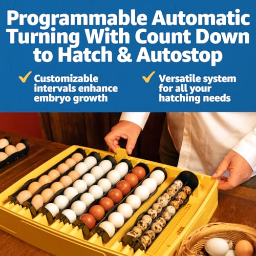 Brinsea Ovation 56 EX Connect App Controlled Egg Incubator with Automatic Egg Turning and Humidity Control for Hatching 56 Chicken, Duck, Other Eggs, Precision App-Driven Digital Controls and Alarms - style: Connected