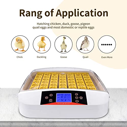 Egg Incubator ,56 Eggs Fully Automatic Egg Incubator with LED Lighting Automatic Turner and Intelligent Temperature Control, for Eggs/Duck Eggs/Bird Eggs/Goose Eggs Hatching