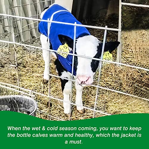 Pro Calf Blanket, Calf Warm Clothes Calf Saver Coat Blanket for Keep Cow Warmming Thickened Belly Protection Windproof Livestock Protector (Two Pieces of Blue) - color: Two pieces of Blue