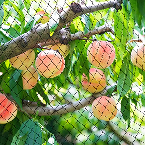 Bird Netting - 50x 50ft Black Poultry Net with 1" Square Mesh Protect Against Rodents Birds, Hawk, Squirrel and Other Animals, Durable & Reusable Anti-Bird Netting use for Fence, Farm & Orchard - size: 50'×50'-1''