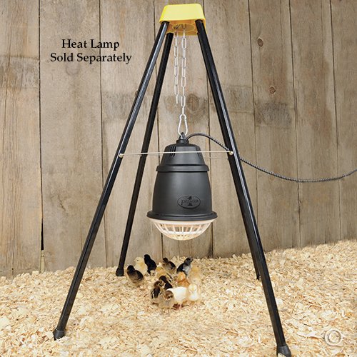 Premier 1 Heat Lamp Stand For Brooders - Allows Adjustable Height of Heat Lamp - 28"W (Base) x 42"H