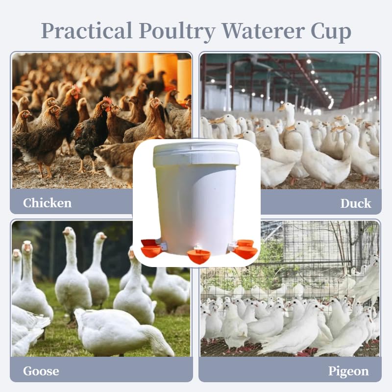 Chicken Waterer Cups 5 Packs,Duck Chick Waterer Chicken Feeder Cups,Automatic Waterer Feeder with Anti-Leak System for Chicken,Duck,Goose,Bunny(Orange) - color: Orange