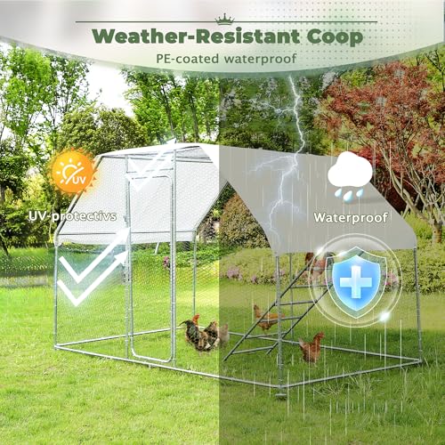 Metal Chicken Coop, 9.8 x 6.6 x6.6 Walk-in Chicken Run for 10 Chicken with Upgrade Roosting Perch, Water-Resident and Anti-UV Cover, Sturdy Flat Roof Chicken House for Outdoor Farm Use - color: Flat Roof