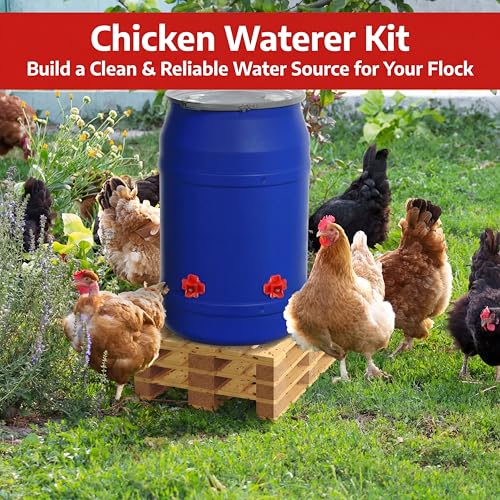 Dreyoo 12 Pcs Horizontal Chicken Waterer Nipples with Drill Bit, Leakproof Chicken Water Nipple, Durable ABS Plastic & Stainless Steel Poultry Watering Nipples for Coop Outdoor Use (Red)