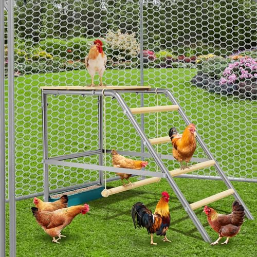 TrailBlaze Chicken Perch with Ladder, Swing & Food Box – Durable Non-Slip Roosting Bars for Coop, Promotes Healthy Activity, Easy Assembly & Cleaning, Outdoor Poultry House Accessory, Size: - size: 40"L x20"W x28"H