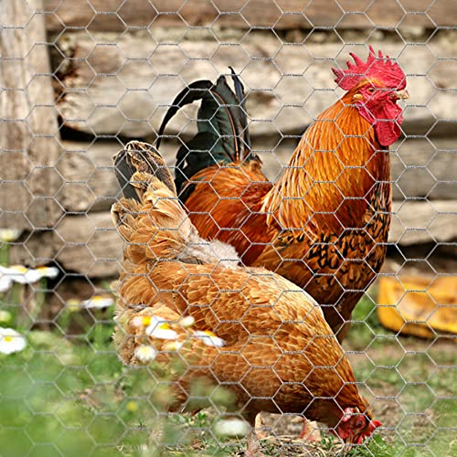 Chicken Wire 15.7 in x 393.7 in Poultry Wire Netting Hexagonal Galvanized Mesh Garden Fence Barrier for Pet Rabbit Chicken Fencing with 100 Pcs Cable Zip Ties - color: Silver, size: 15.7"x393.7"+100Ties