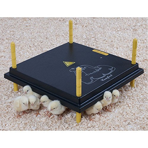 Premier 1 Chick Heating Plate Kit with Adjustable Legs | Includes Anti-Perch Cover | 16"x16" Plate Warms Up to 30 Chicks