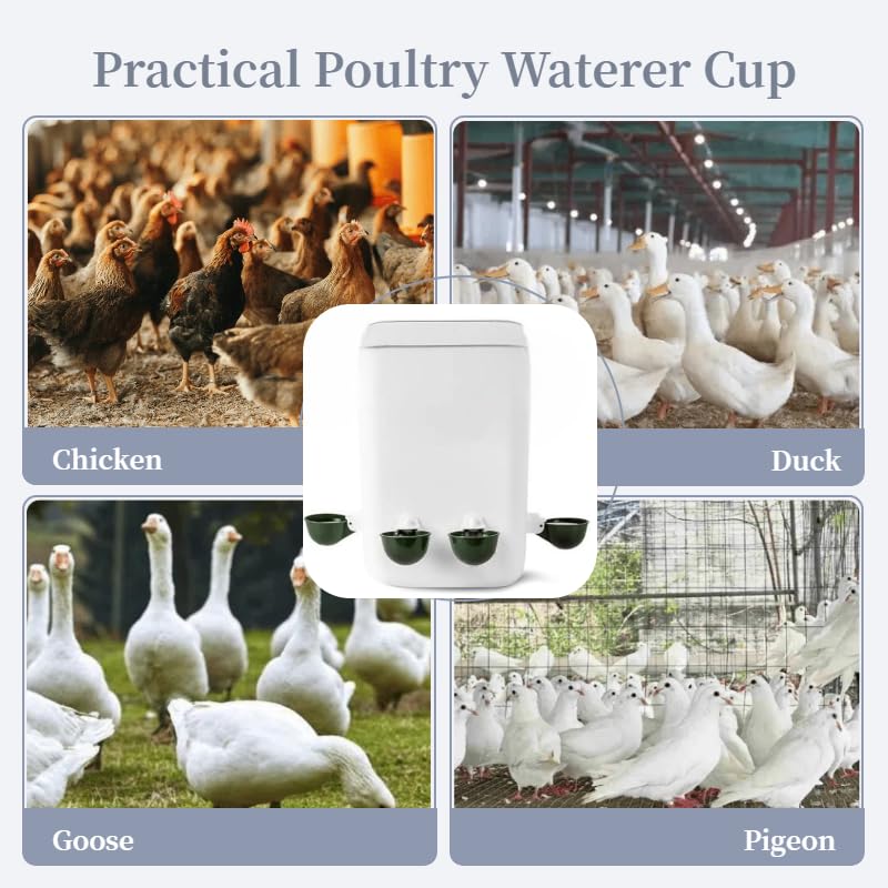 Chicken Waterer Cups 5 Packs,Duck Chick Waterer Chicken Feeder Cups,Automatic Waterer Feeder with Anti-Leak System for Chicken,Duck,Goose,Bunny(Green) - color: Green