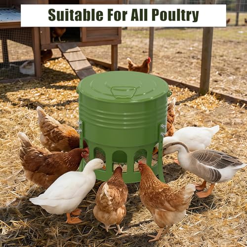 Metal Chicken Feeder No Waste, 20 Lbs Large Automatic Chicken Feeder with 12 Ports, Adjustable Height Poultry Feeder with Lid & Handle, Rat Proof Rust Proof Feed Box for Poultry & Backyard Chickens