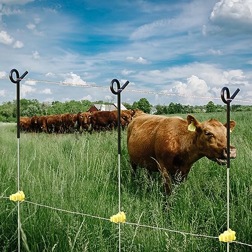 Fence Shock 30 Pack 41 Inches Systems Pig Tail Step-in Fence Post, Portable Stainless Steel Single Rope Poles/Stakes for Electric Fence, Garden, Farm, Flower Beds, Walkways, Fountains - Black - color: Black