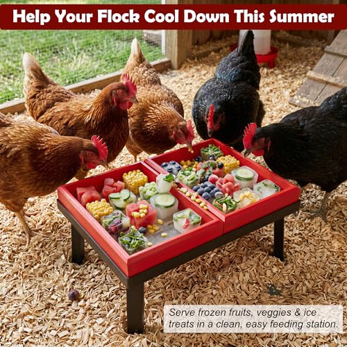 Kitchen Scrap Feeder for Chickens – Large Capacity Metal Stand with Dual Removable Wooden Trays | Chicken Veggie & Leftover Supplement Feeder, Flock Enrichment Chicken Coop Accessories Stuff Supplies