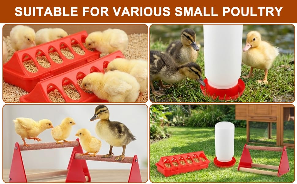 5-Pack Chick Feeder and Waterer, Baby Poultry Starter Set with 2 Feeder Troughs, 1L Waterer & 2 Wooden Perches, Small Chick Brooder Accessories for Chicken, Duck & Quail