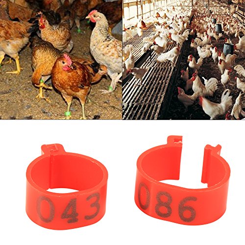 Poultry Leg Bands, 6 Colors 100PCS/Bag 16MM 001-100 Numbered Plastic Poultry Chickens Ducks Goose Leg Bands Rings for Chickens Gamefowl Turkey Duck Goose(Red) - color: Red