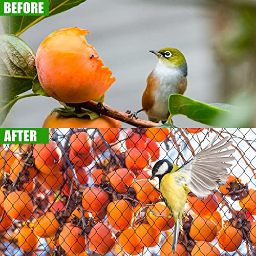 Bird Netting for Chicken Coop - 50x50ft Poultry Netting Over Chicken Run & Chicken Pen, Heavy Duty 2.4” Mesh Garden Net for Blueberry Bushes, Fruit Trees and Vegetable Against Birds, Deer, Squirrels - size: 50'×50'-2.4''