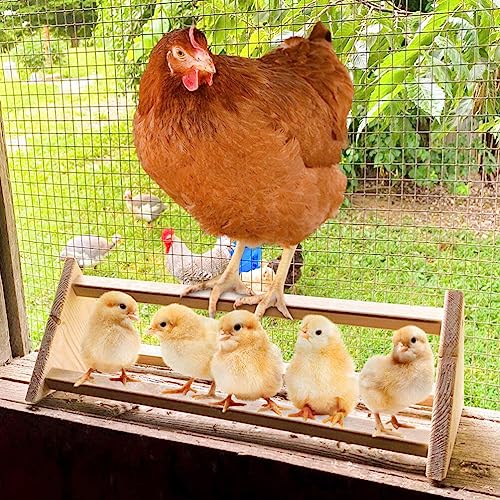 POPETPOP Chicken Perch - Wooden Chicken Roosting Bar Bird Perch Coop Accessories Chick Stand Trainning Toy Coop Toys for Hens Chicks Birds