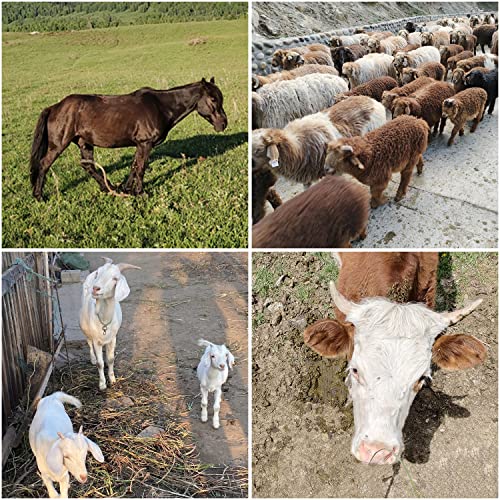 Horse Hay Feeder, 63'' Long Livestock Hay Feeder with 48 Gallon Large Capacity, Carbon Steel Wall Mounted Hay Rack for Horses, Sheep, Goats, Indoor Outdoor Uses - size: 63INCH