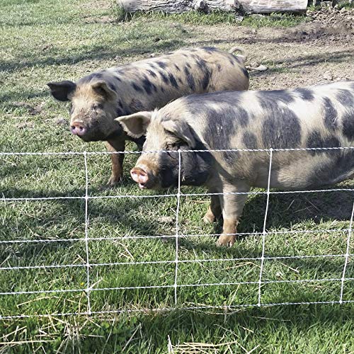 Premier 1 Pig QuikFence® Starter Kit | White/Black Electric Net Fence – 30"H x 100'L (2 Rolls), Includes: Solar Energizer, FiberTuff Support Posts and Tester