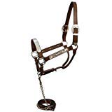 Showman Horse Silver Show Western Showmanship Halter. Color Choice