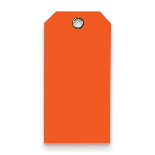 Tags 4 Less 15 Mil Waterproof Plastic Tags, Pack of 100 – 2” x 4” Heavy Duty Plastic Tags for Labeling, Outdoor Tagging, Equipment Labeling, Luggage, Valves & More (Orange) - color: Orange, size: 2" x 4"