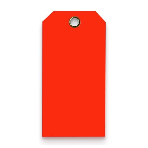 Tags 4 Less 15 Mil Waterproof Plastic Tags, Pack of 100 – 2” x 4” Heavy Duty Plastic Tags for Labeling, Outdoor Tagging, Equipment Labeling, Luggage, Valves & More (Fluorescent Orange/Red) - color: Fluorescent Orange/Red, size: 2" x 4"