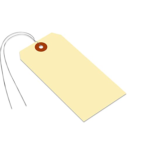 SmartSign Blank Manila Shipping Tags with Wire, Size-6, Pack of 100, 13pt Thick Prewired Cardstock Tag, 5.25 x 2.625 inch Paper Hang Tags with Reinforced Fiber Patch - size: 5 1/4" x 2 5/8", style: Metal Wires - 100 Tags