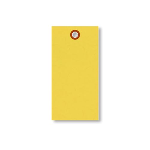 SmartSign (Pack of 100) 4.75 x 2.375 inch “Yellow” Blank Tyvek Shipping Tags with Metal Eyelets, Size #5, 8 mil Thick Tyvek, Made in USA - color: Yellow - No Attachment, size: 4 3/4" x 2 3/8" - 100 Tags